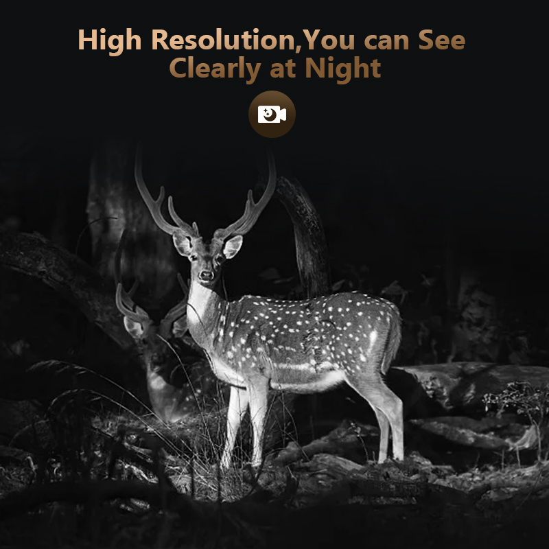 كاميرا لعبة درب للصيد في الحيا - مراجعة Outdoor Hunting Camera Wifi وسعره