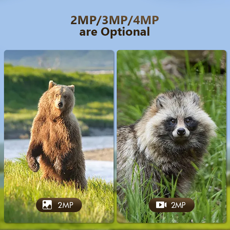 كاميرا لعبة درب للصيد في الحيا - مراجعة Outdoor Hunting Camera Wifi وسعره