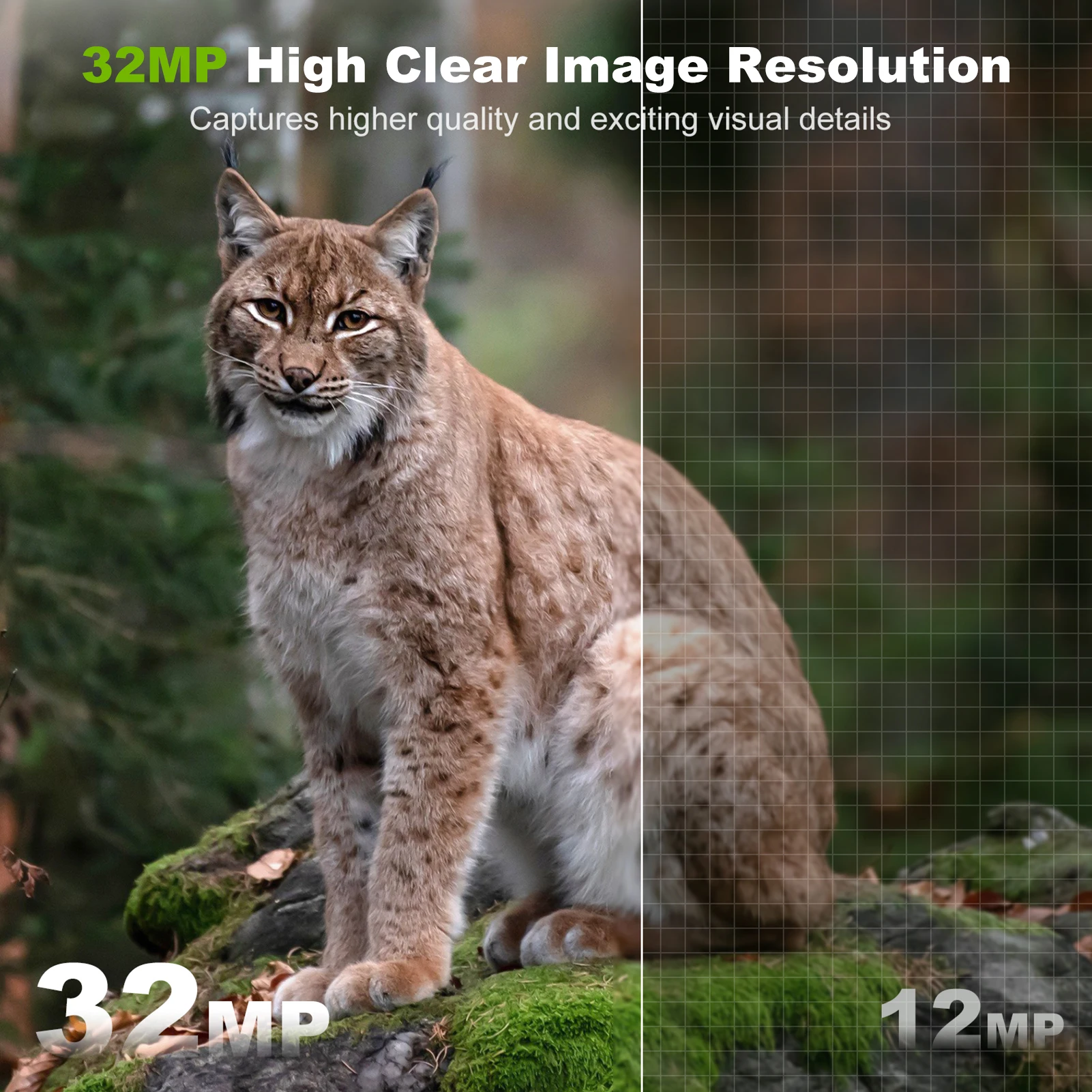 كاميرا تعمل بالطاقة الشمسية في - مراجعة Outdoor Hunting Camera Wifi وسعره